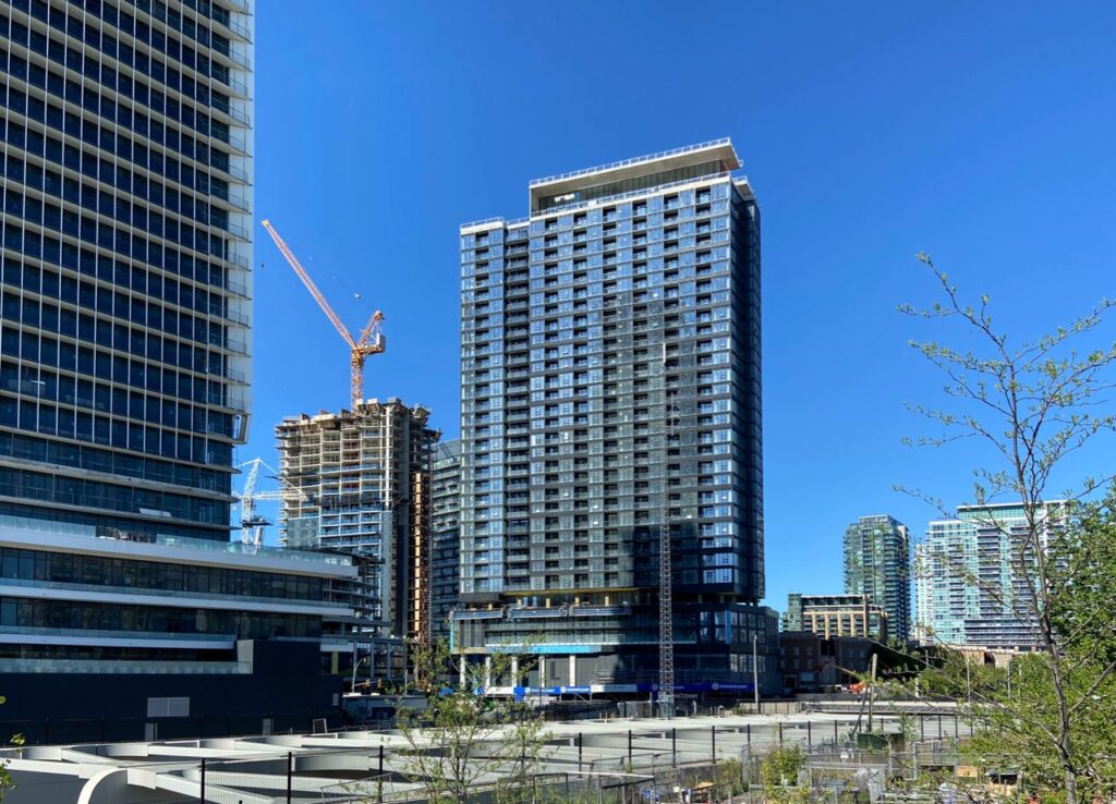 ZEN KING WEST