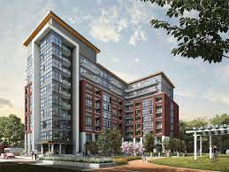 The Queensview at Backyard