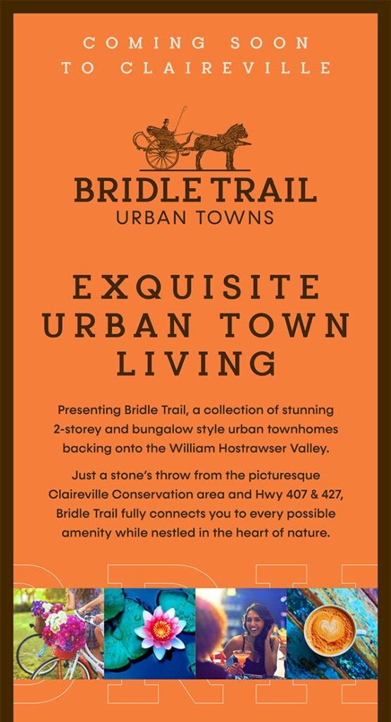 Bridle Trail Towns