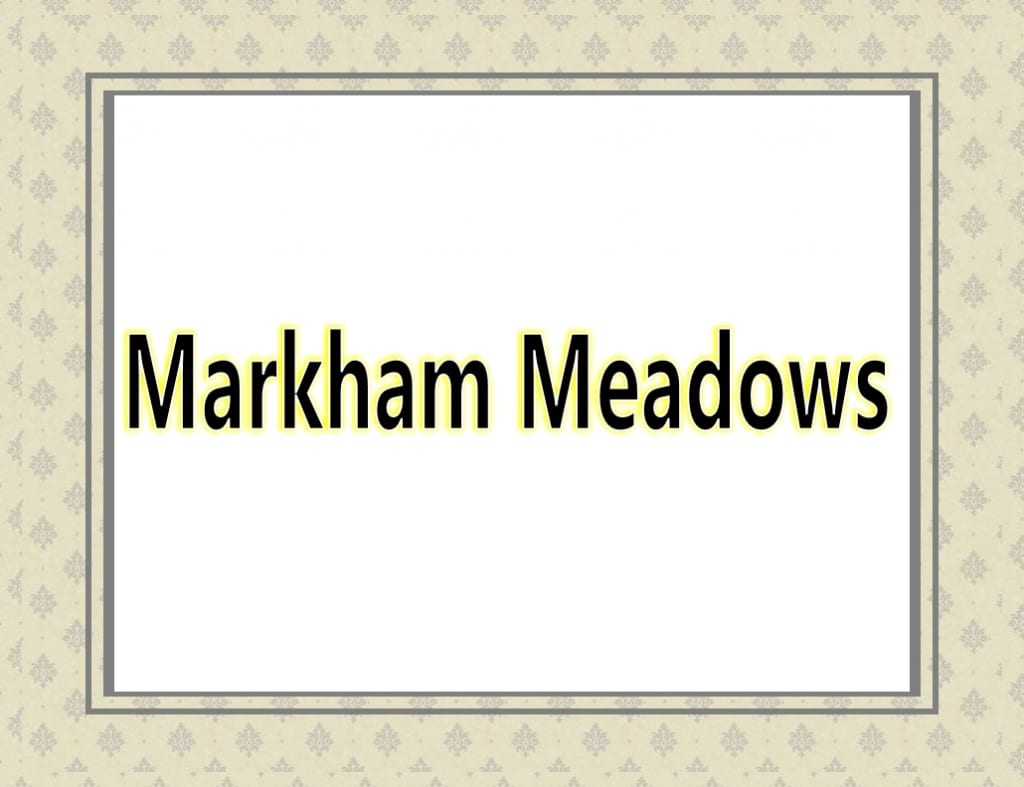 Markham Meadows by preconrealestate